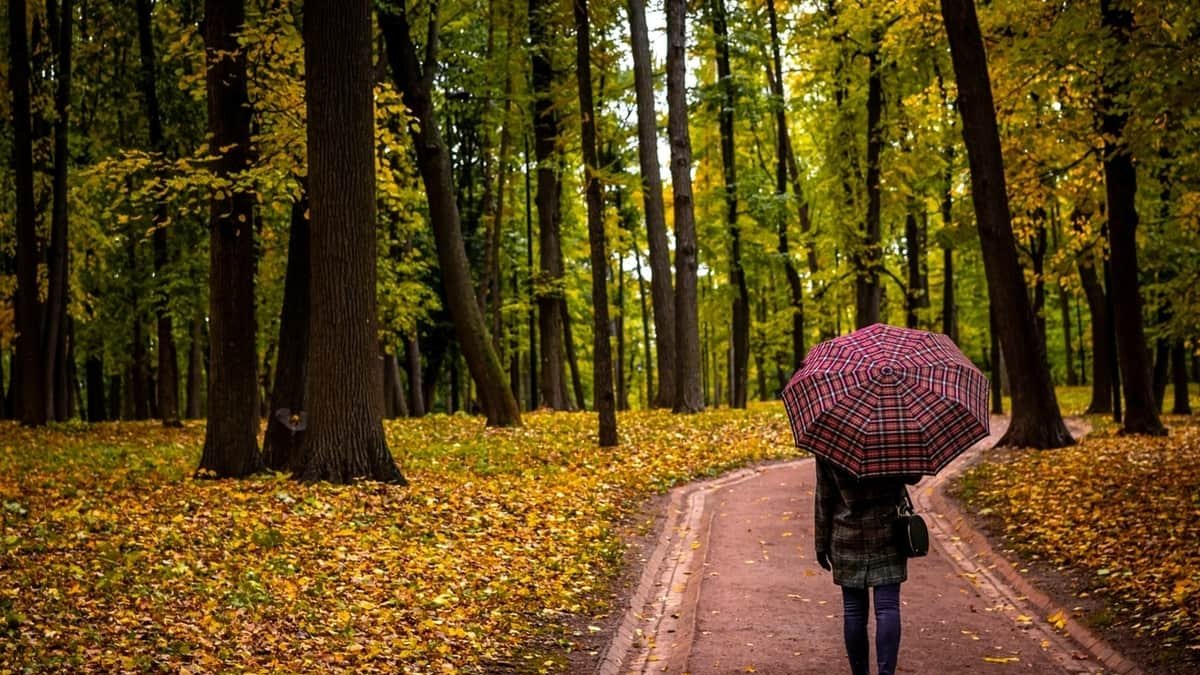 Astenia otoñal León: qué es, síntomas y cómo prevenirlo Foto: Pexels