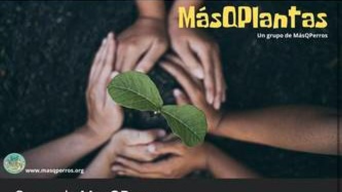 Página de inicio en Facebook del nuevo grupo MasQPlantas.