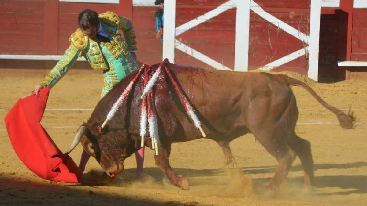 Imagen de un festejo taurino celebrado en la plaza de toros de Valencia de Don Juan. MEDINA