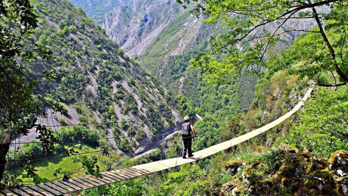 Puente tibetano en el desfiladero de Los Beyos