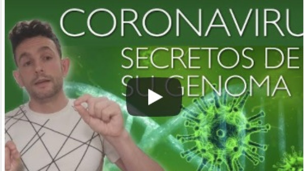 El origen genético del coronavirus