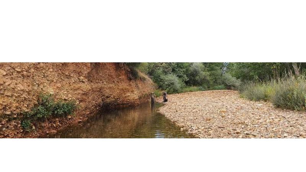 El ambiente seco se extiende al norte de Castilla y León. DL