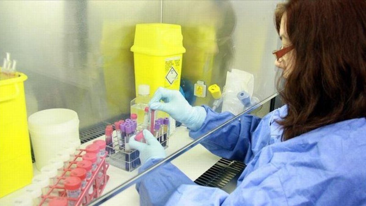 Una investigadora del Idibaps del Hospital Clínic trabaja en un laboratorio del centro.