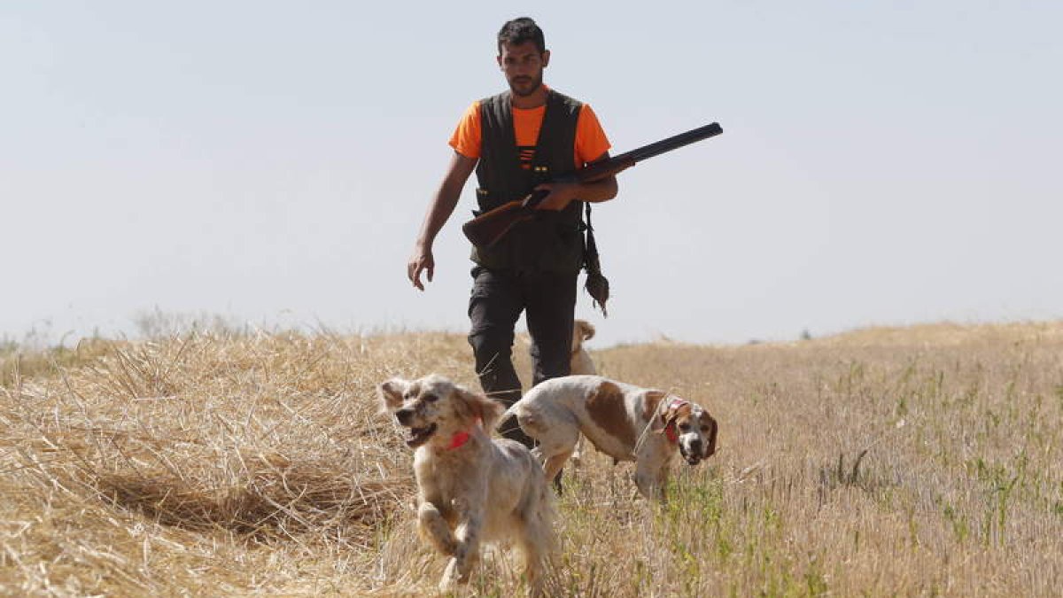 Borja Llamazares fue uno de los cazadores que madrugaron en la primera jornada. En la foto con sus perros Sira, Bimba y Hena. RAMIRO