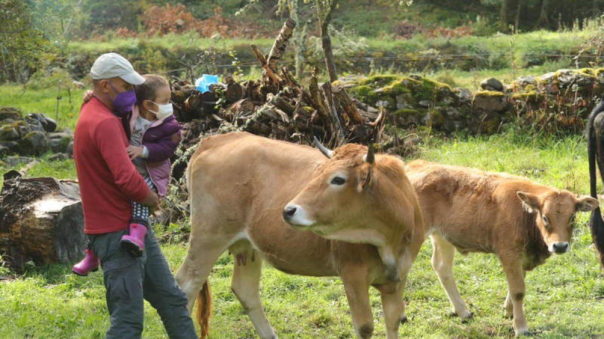 Uno de los ganaderos que ha apostado por la ganadería de montaña en Valseco, con su hija en brazos. L. DE LA MATA