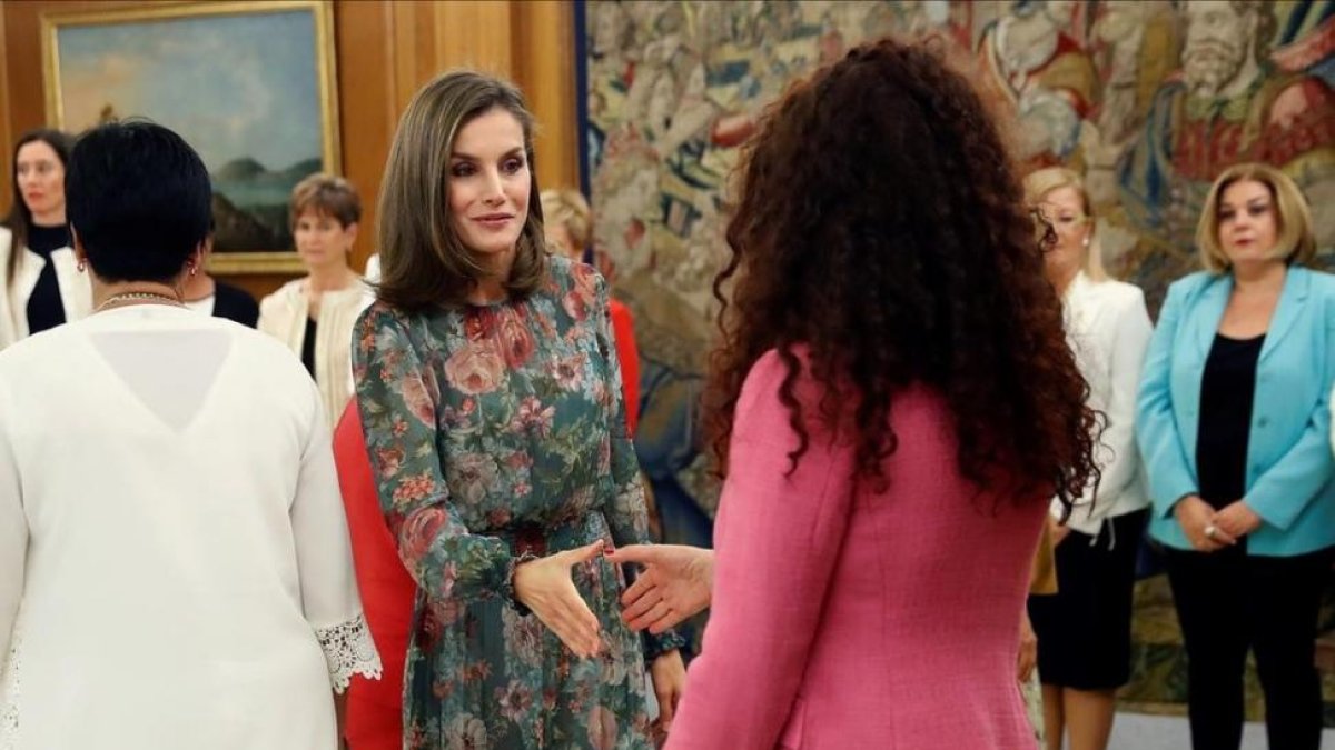 La reina Letizia recibe en audiencia a una representacion de la Alianza Iberoamericana de Enfermedades Raras, este martes en el Palacio de la Zarzuela.