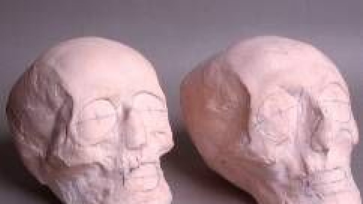 Moldes realizados sobre los cráneos de Santo Martino -izquierda- y Vermudo III