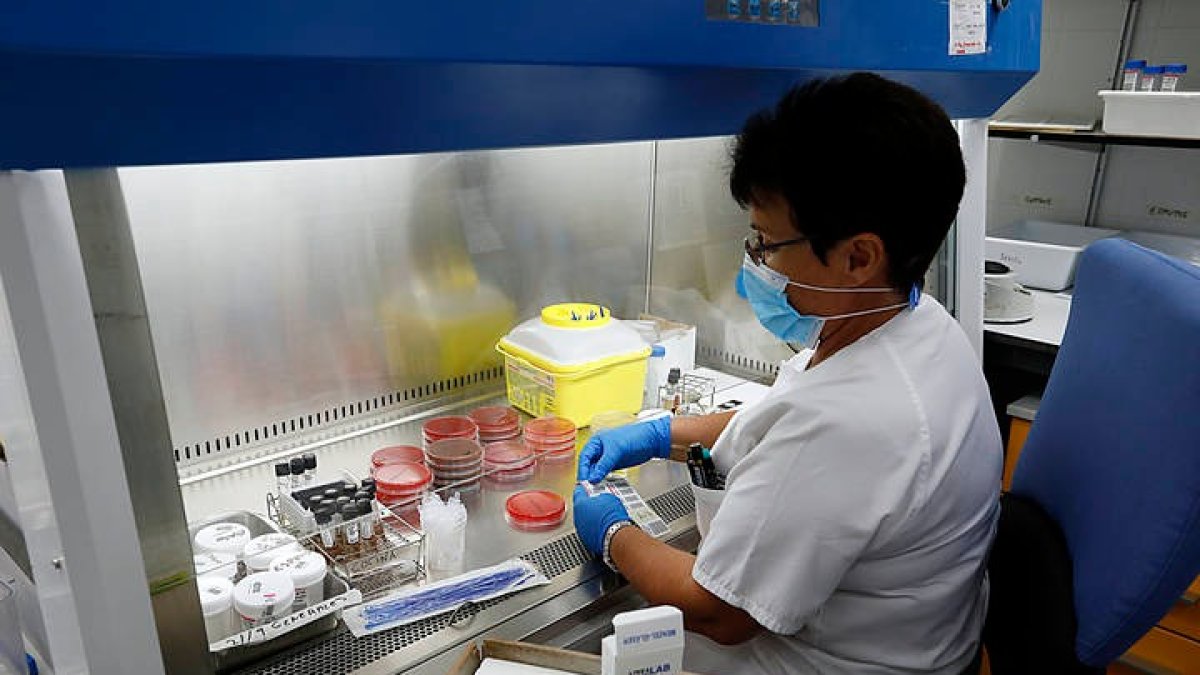 Ärea de pruebas covid en el Laboratorio del Hospital de León. MARCIANO PÉREZ