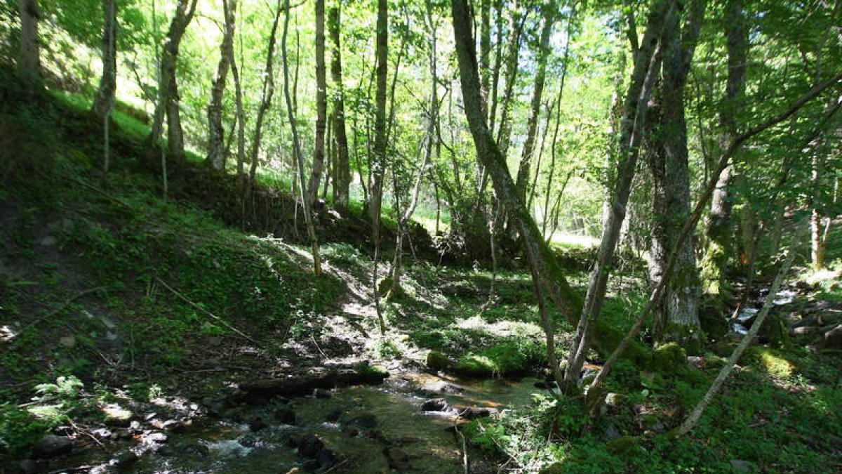 Confederación Hidrográfica del Miño-Sil gestionó en la comarca del Bierzo 750 expedientes durante el año pasado.