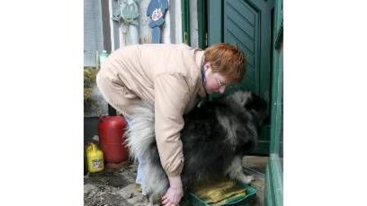 Una mujer desinfecta las patas de su perro en la isla alemana de Rügen