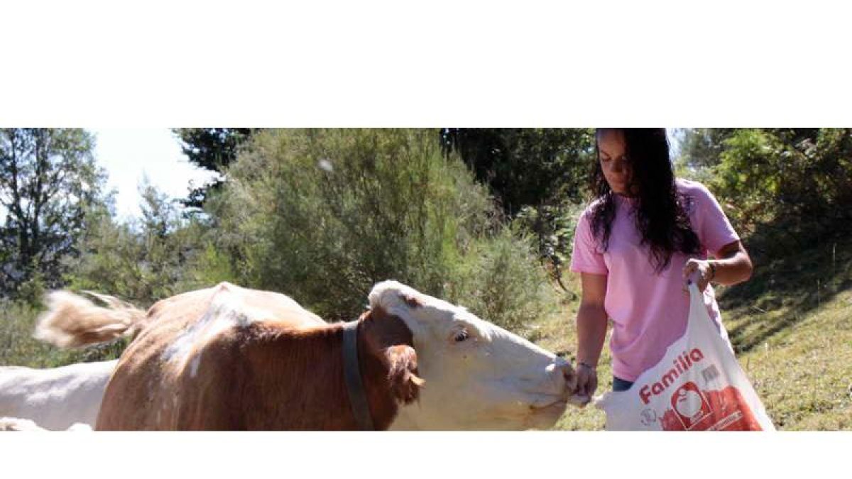 Lucía
Redondo,
Polvoredo.
Siempre vio la ganadería en su casa y,
después de vivir y trabajar varios años en
León, decidió
volver. CAMPOS