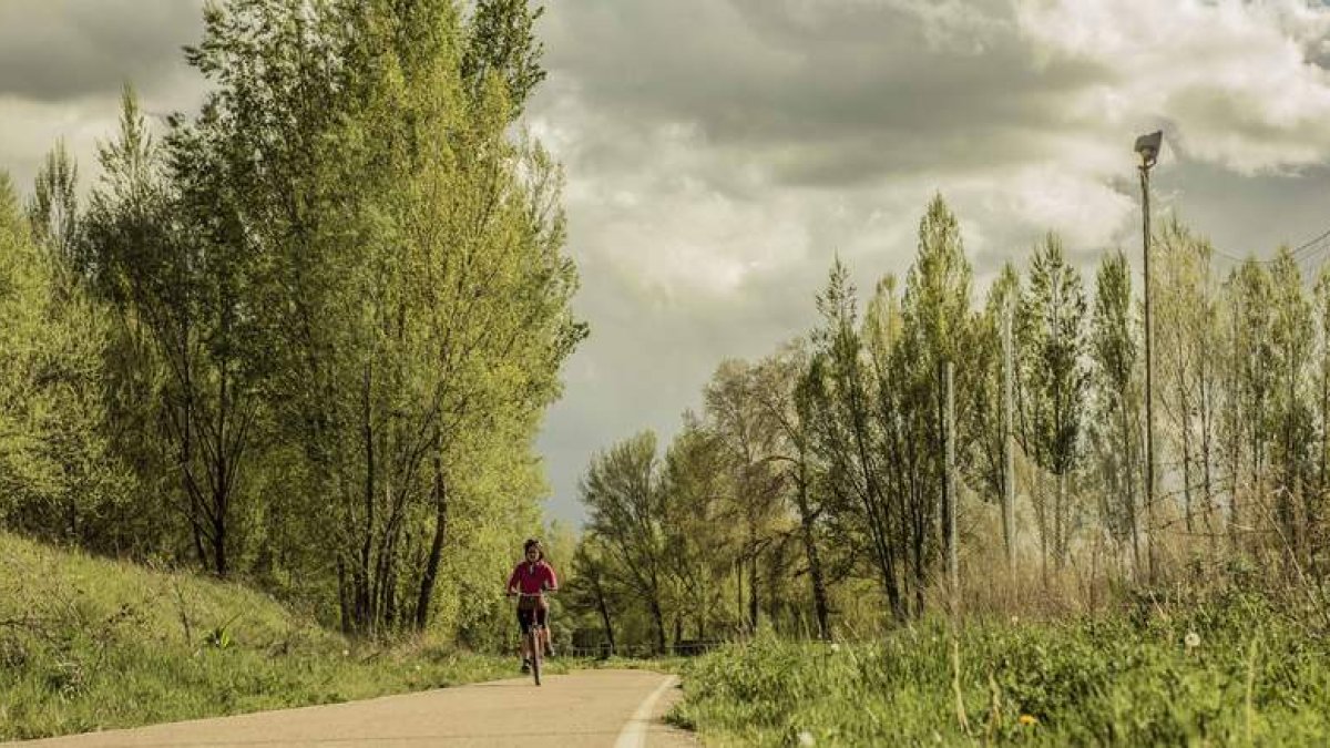 El paseo peatonal y para bicicletas junto al Torío permite darse un baño de naturaleza y vegetación autóctona a escasos kilómetros de León capital. DL