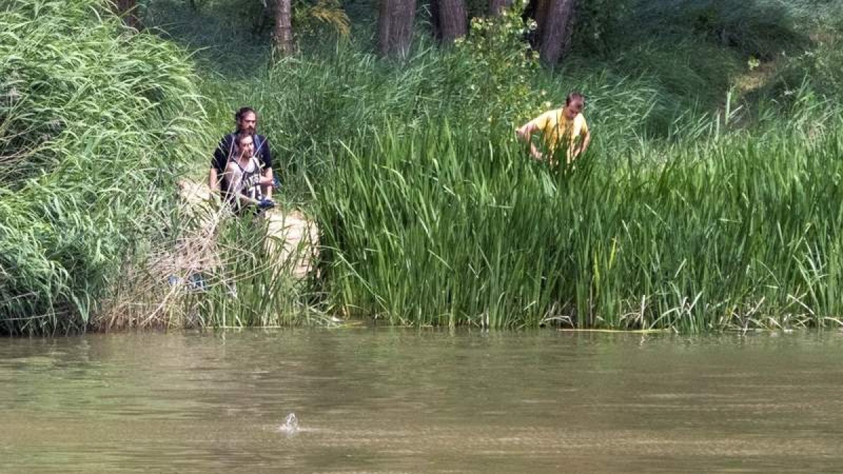 Miembros del Seprona y de la Policía Local de Simancas rastrean el río en busca del cocodrilo. R. GARCÍA