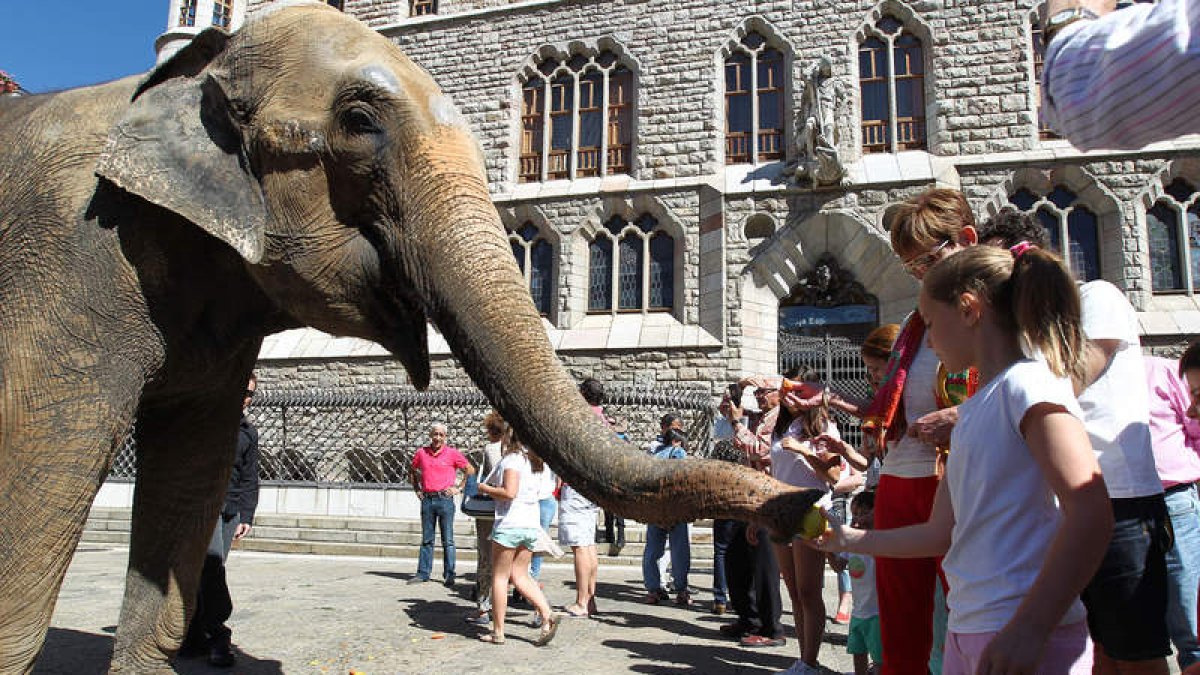 El elefante del circo Kaos ayer por la mañana en Botines