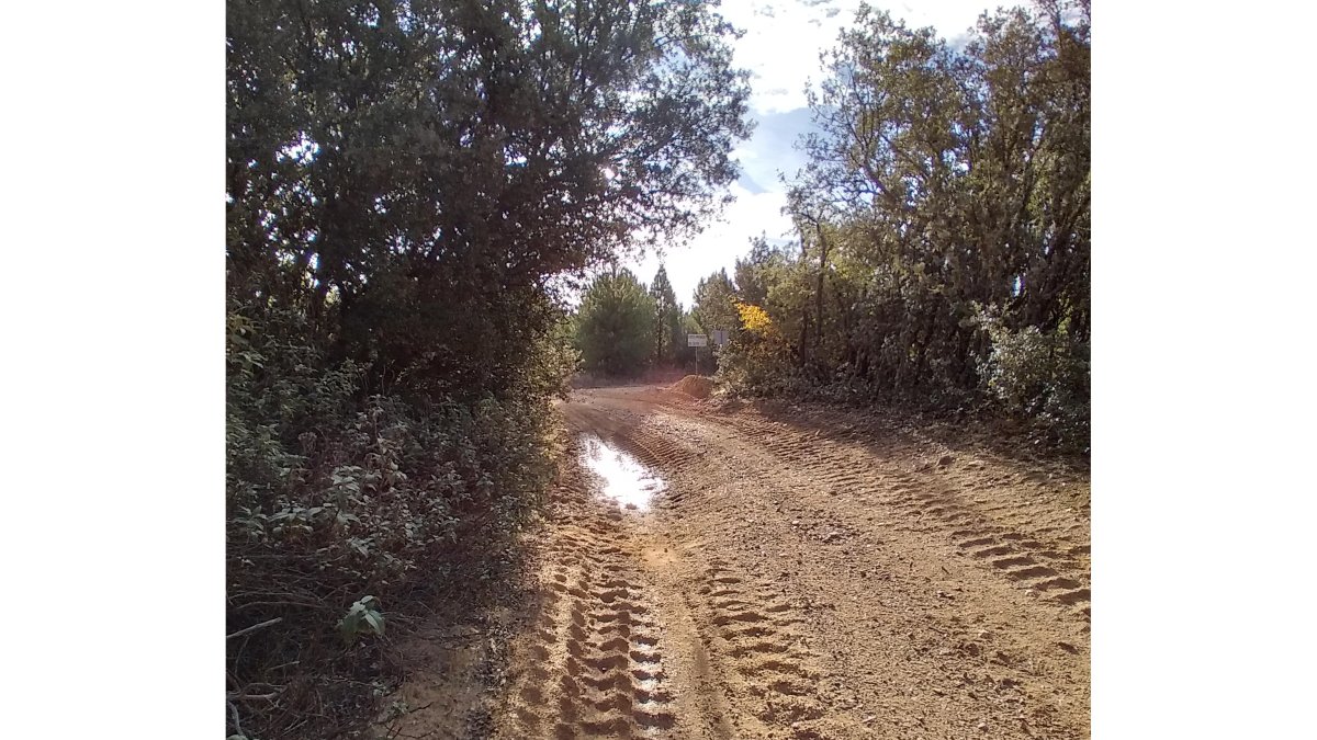 Camino en Valdespino de Somoza. DL