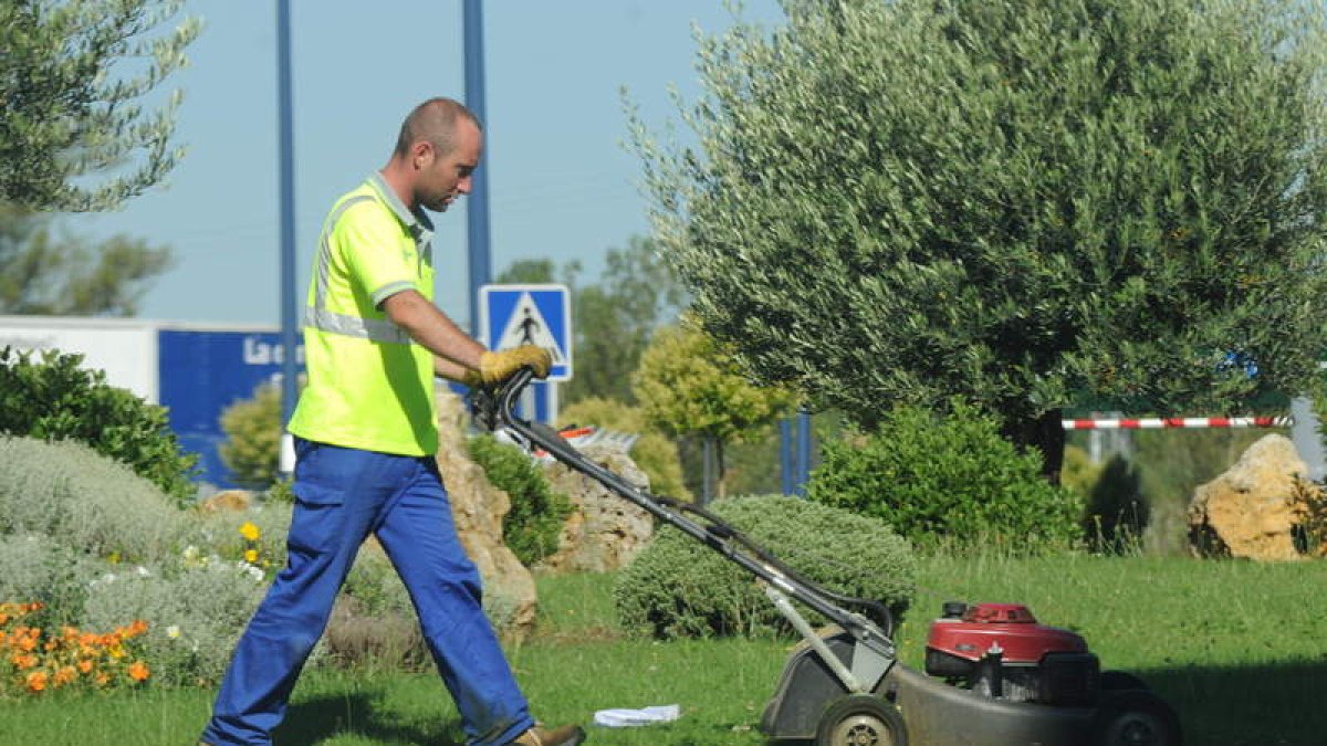 Un jardinero trabaja en una zona verde de la ciudad. JAVIER