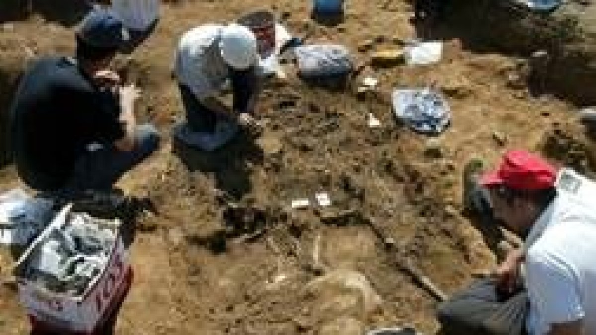 Trabajos de exhumación en una de las fosas halladas en León