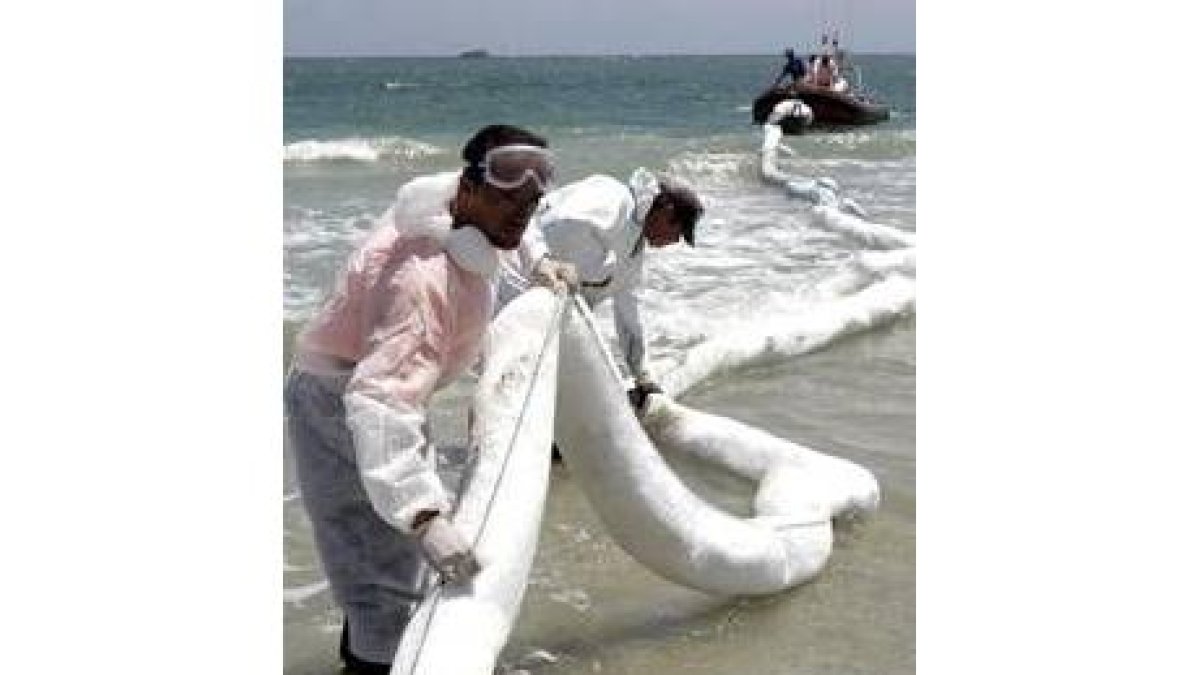 Varios operarios colocan barreras absorbentes en una playa ibicenca