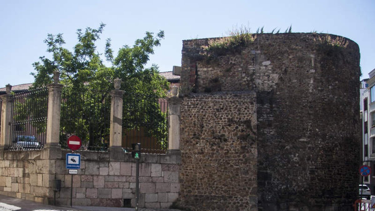 Detalle de la vegetación en uno de los cubos de la muralla en Ramón y Cajal. FERNANDO OTERO