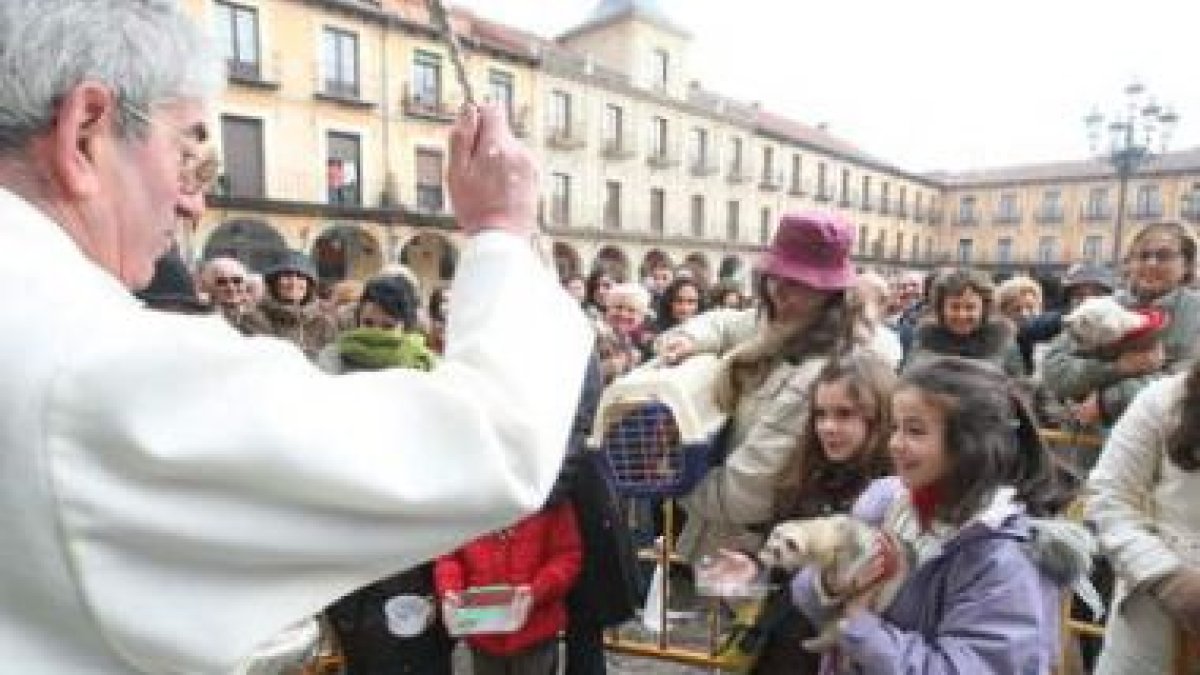 La plaza Mayor de León acogió ayer la bendición de animales de todo tipo, desde perros hasta hurones