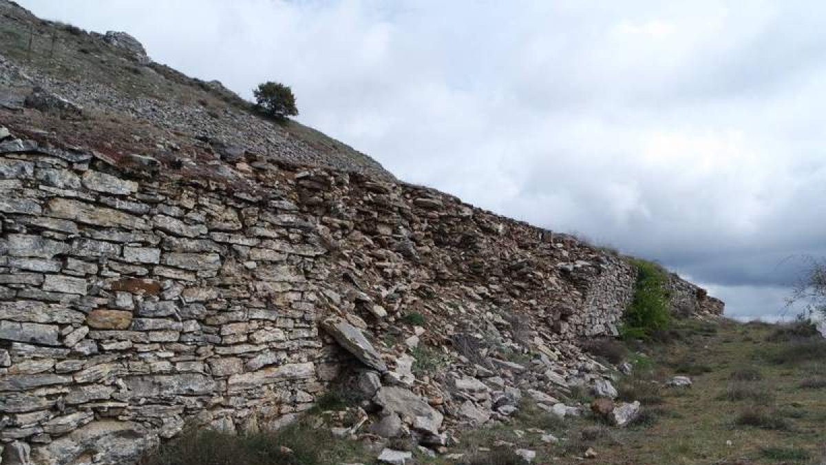 Detalle de la muralla del castillo de Llanos de Alba. DL
