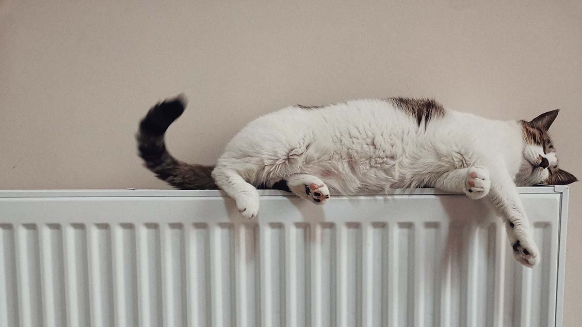 Consejos para calentar tu casa sin usar calefacción