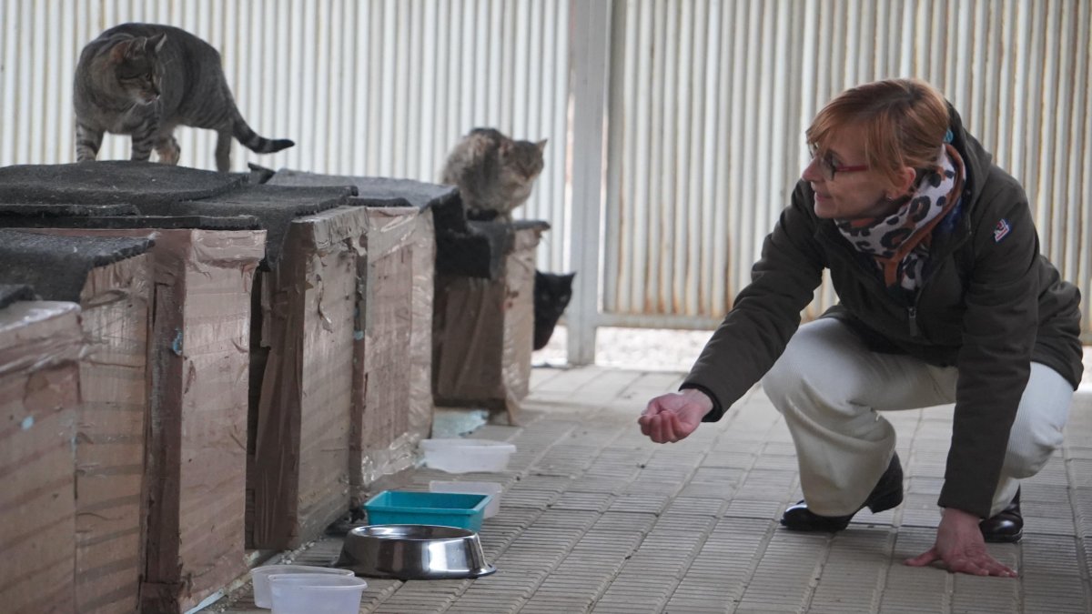 Esperanza Martínez Fernández atiende a uno de los gatos de la colonia que cuida desde hace tiempo. J. NOTARIO