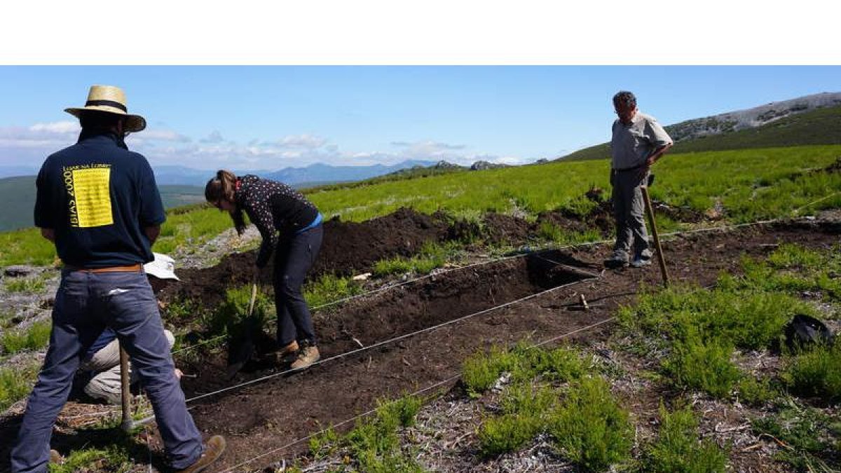 Un grupo de aqueólogos en el verano del 2014, en el comienzo de la excavación de A Granda das Xarras, en montes de Candín. de la mata