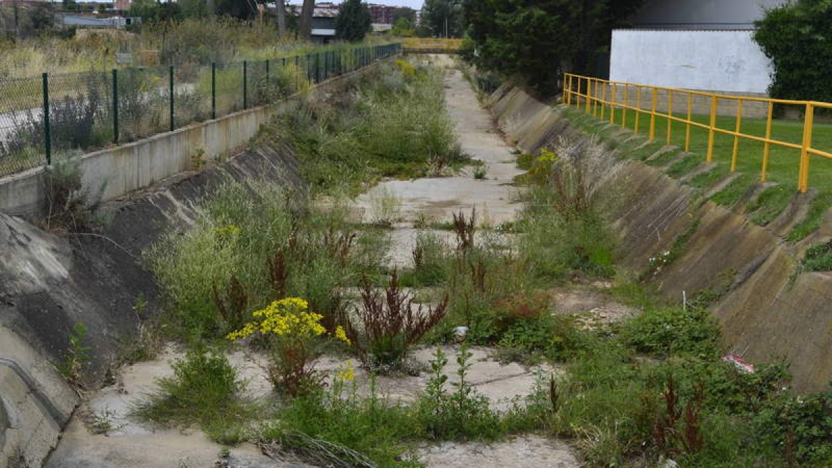 La maleza cubre las zonas de recreo habilitadas junto a la senda del Canal del Carbosillo.