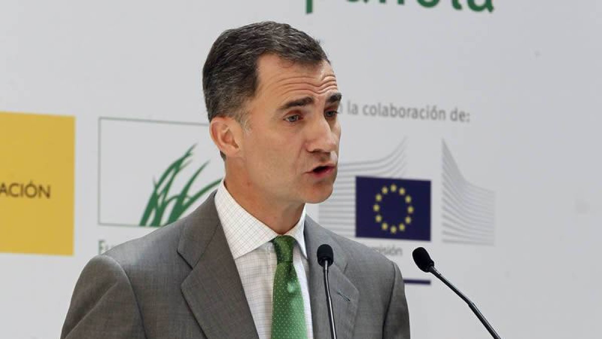 El Príncipe de Asturias, durante su intervención en la entrega hoy en Madrid de los Premios Europa de Medio Ambiente a la Empresa 2014.