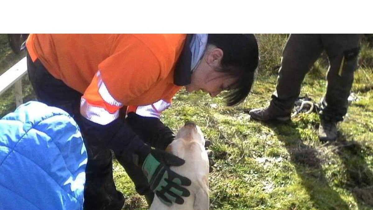 Una voluntaria de Protección Civil atiende a un animal en el área de San Andrés. DL