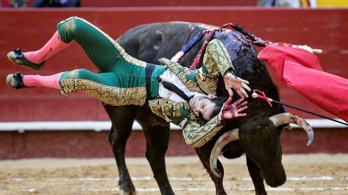 El diestro jerezano Juan José Padilla resulta cogido por "Hortensia", de la ganadería Fuente Ymbro, durante la segunda corrida de la Feria de Fallas.