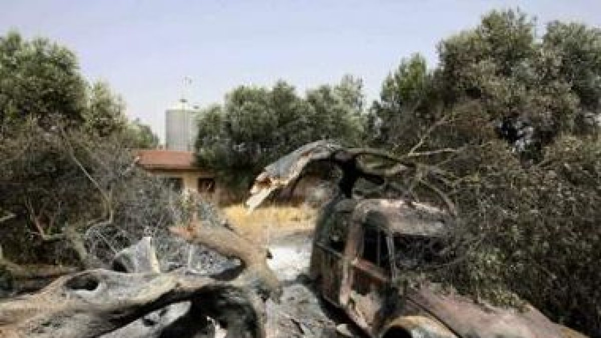 Imagen de archivo de una finca afectada por el incendio de Horta de Sant Joan.