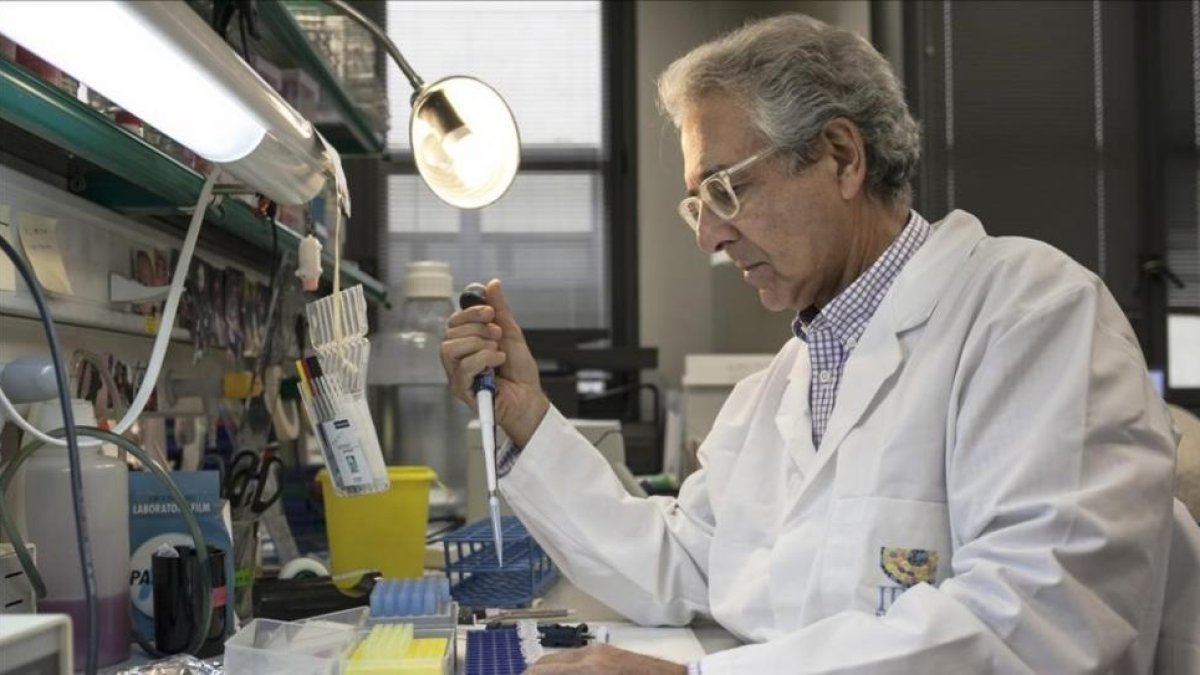 Joan Guinovart,  director del Institut de Recerca Biomèdica de Barcelona, en su laboratorio.