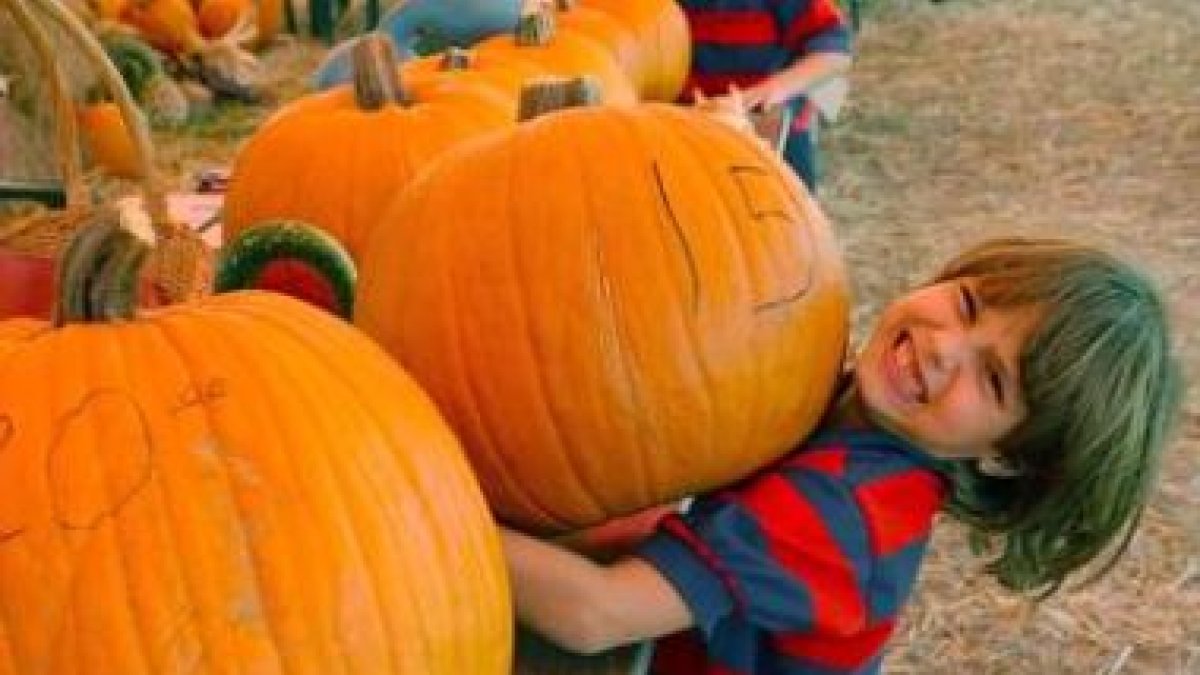 Un niño levanta una calabaza la víspera de Halloween, en una imagen de archivo.