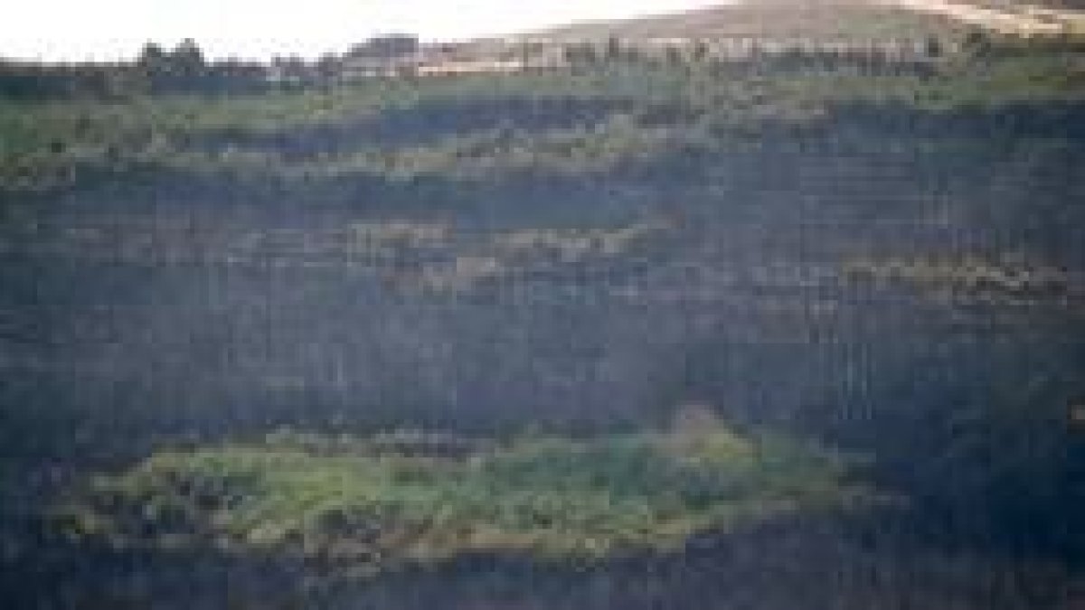 El efecto de las llamas es visible en los montes de Rihonor de Castilla