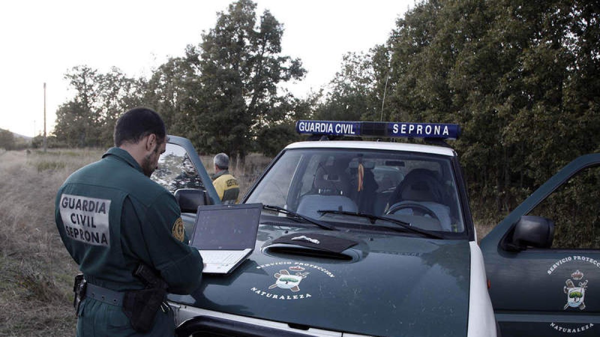 Agentes del Seprona en un servicio en el medio rural, en una imagen de archivo.