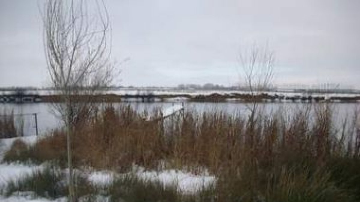 Charcas heladas y nieve cubriendo los campos impiden el ejercicio de la caza en la provincia.