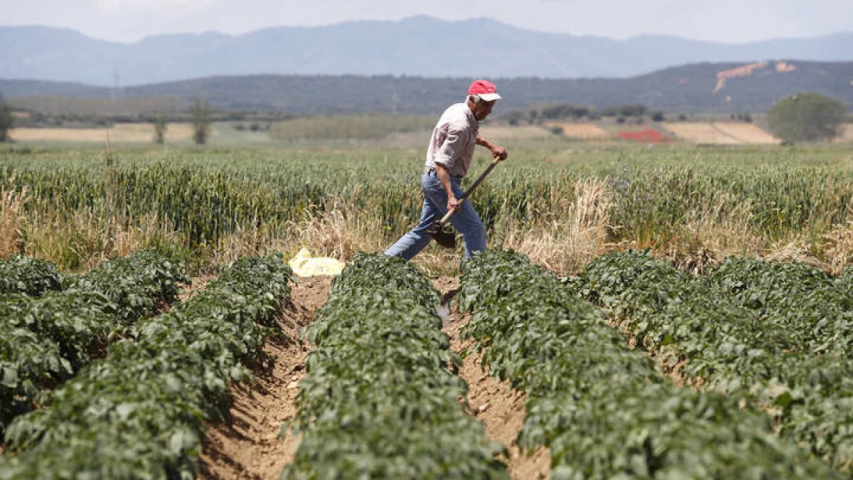 Agricultor en Santibáñez de la Isla. JESÚS F. SALVADORES