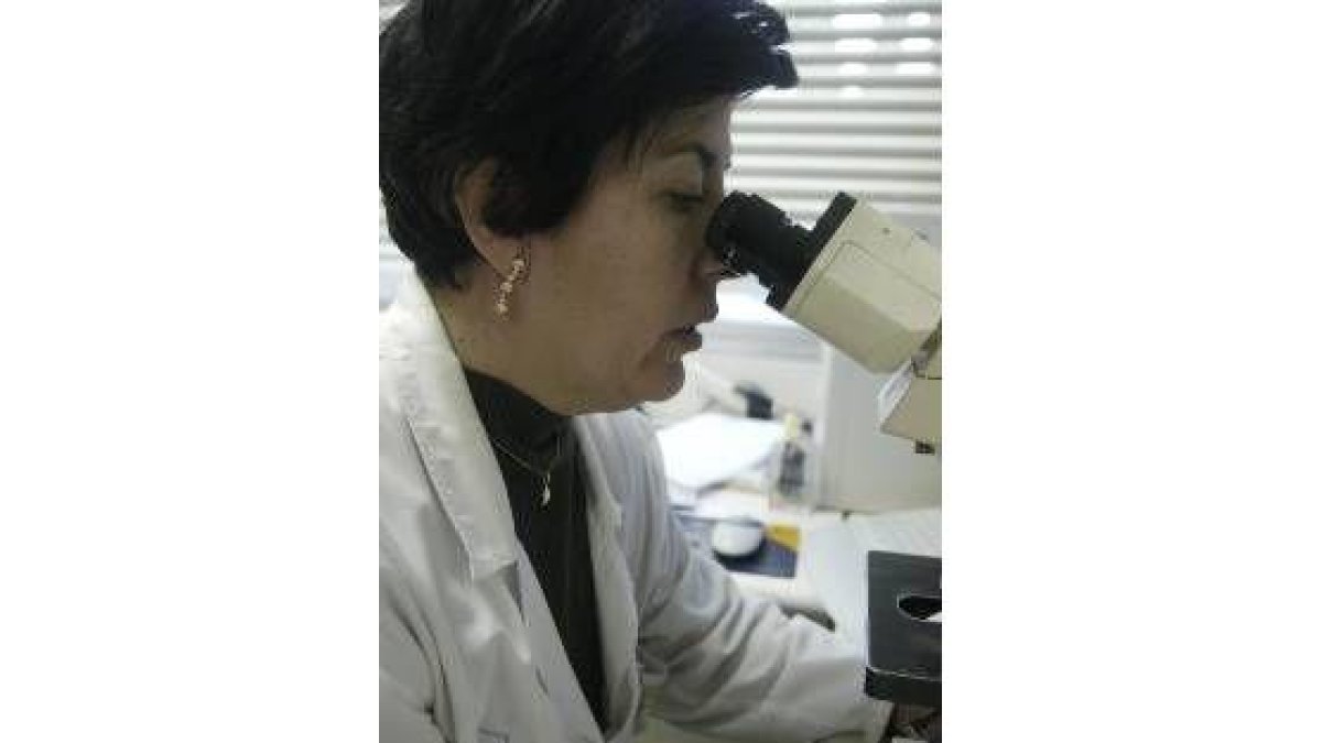 Teresa Ribas, en el servicio de Anatomía Patológica
