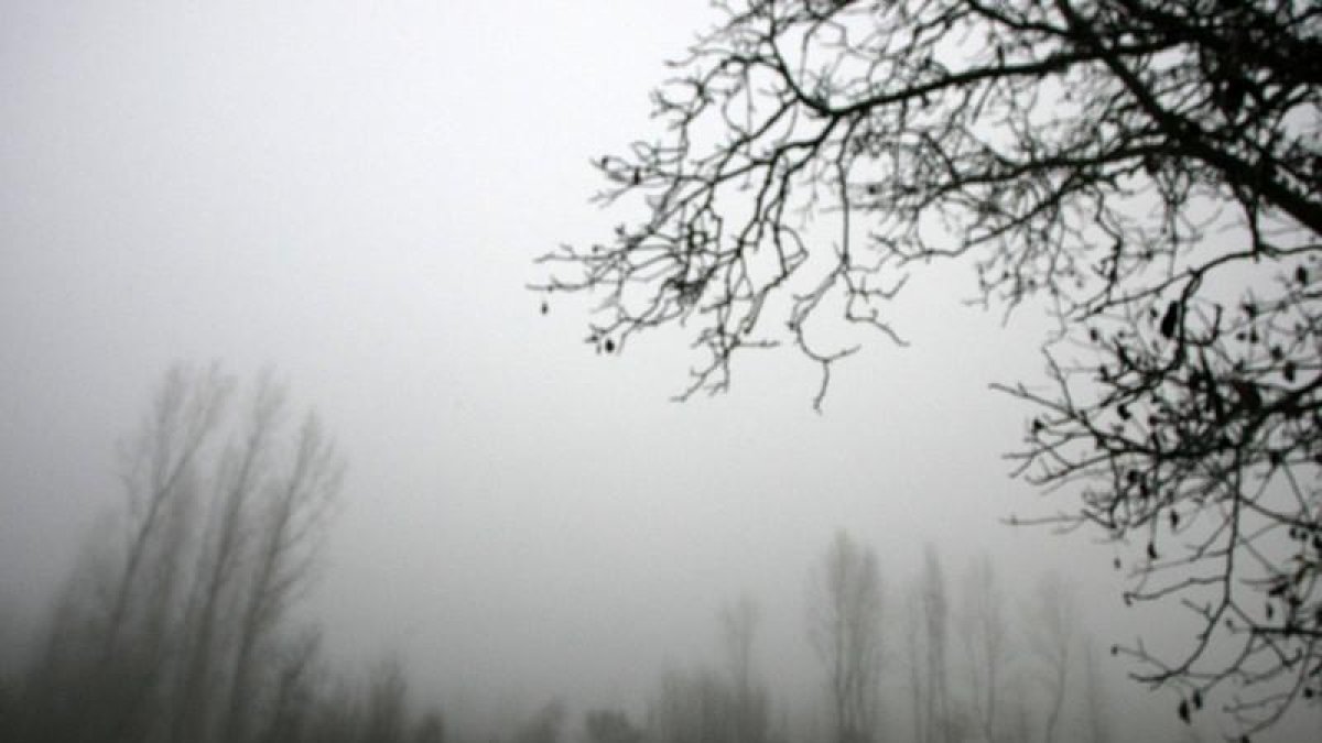 Niebla en el Bierzo, esta mañana