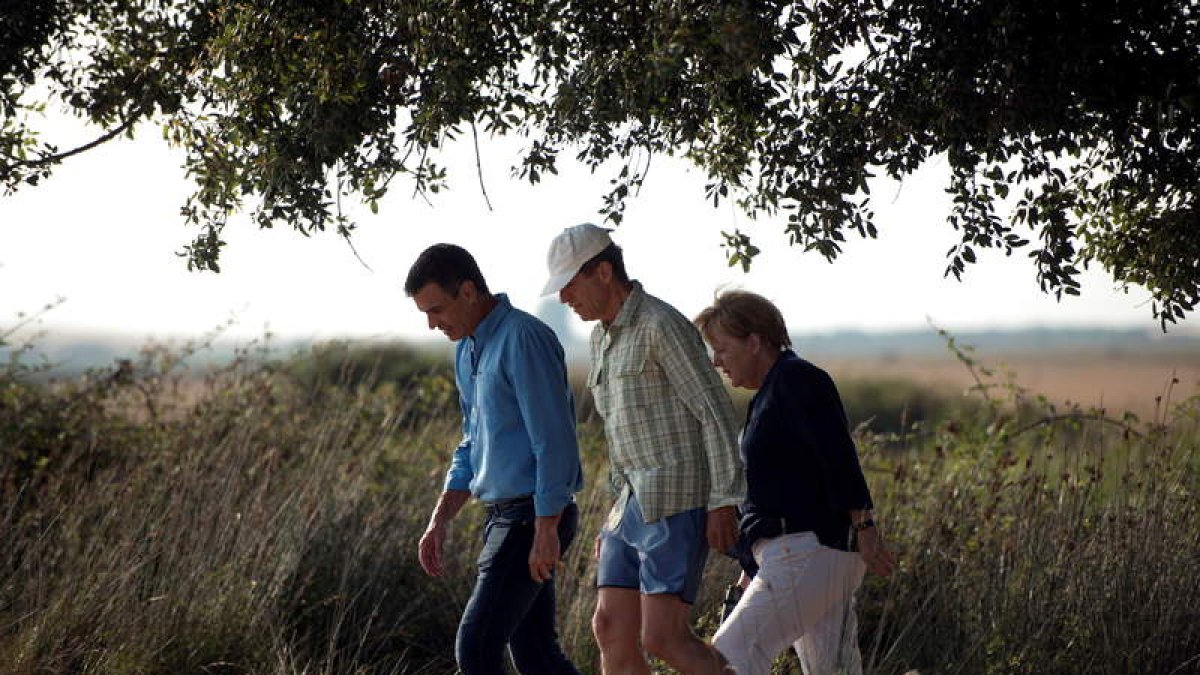 Pedro Sánchez con Angela Merkel y el marido de la canciller alemana, Joachim Sauer, paseando por Doñana LAURA LEÓN