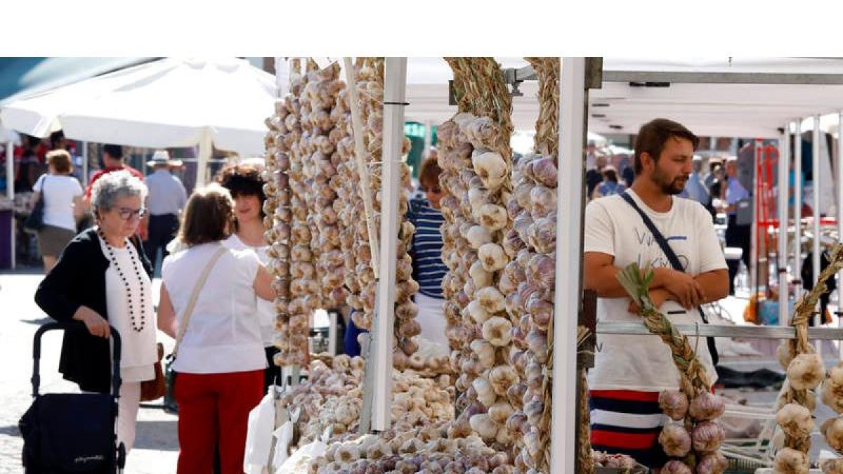 Transeúntes observan las distintas ristras expuestas en los tenderetes de la XXIX Feria del Ajo de Veguellina.MARCIANO PÉREZ