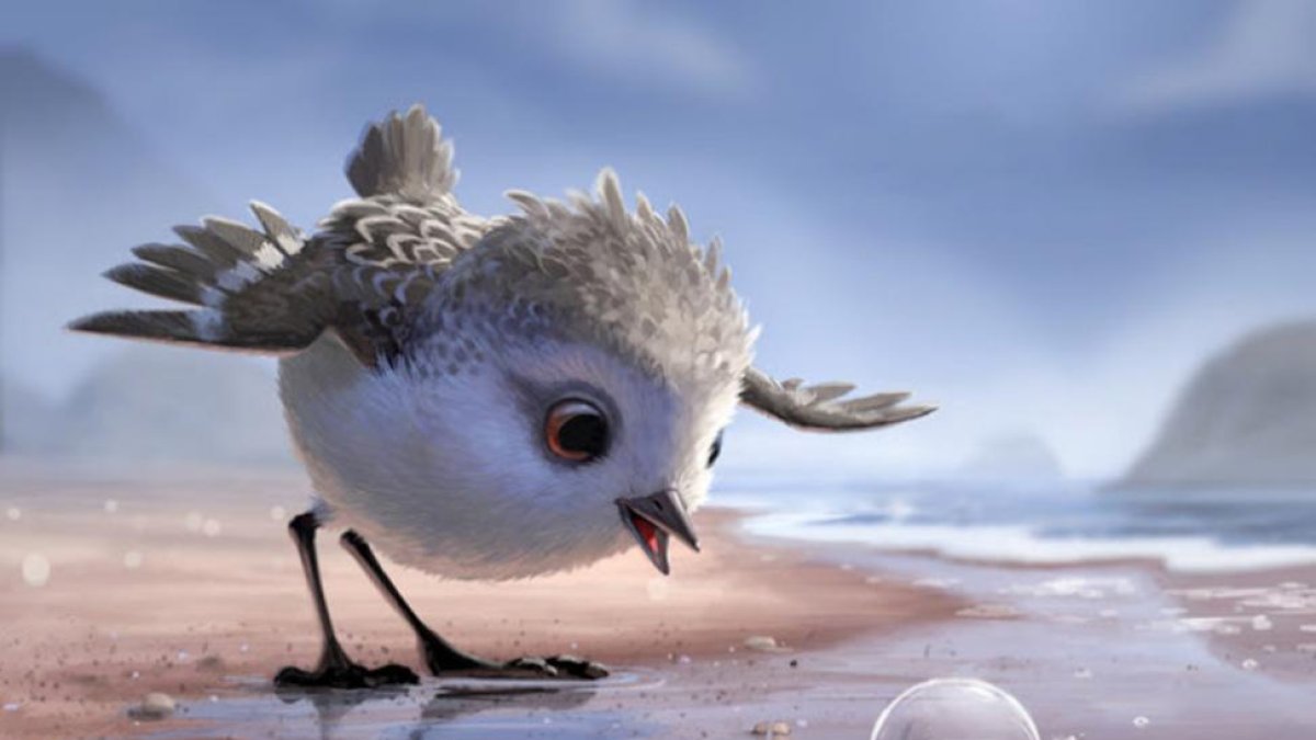 Piper, el pequeño correlimo que protagoniza uno de los más bellos cortos de Pixar.