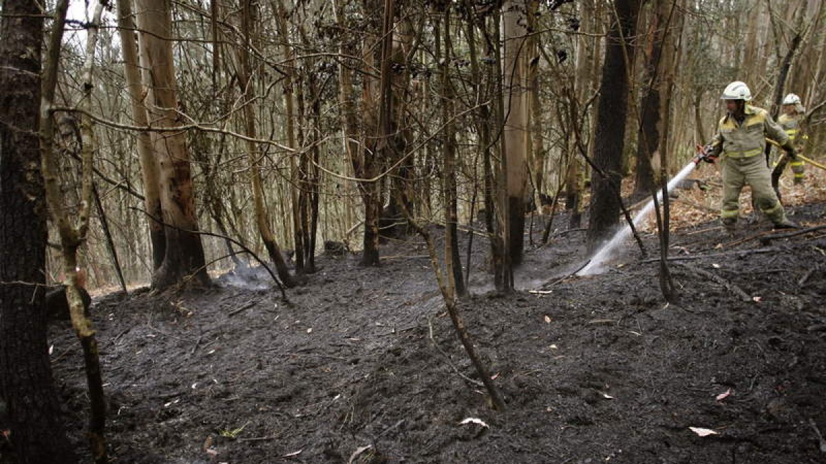 Servicios de extinción de incendios refrescan la zona del fuego que asoló el parque natural.