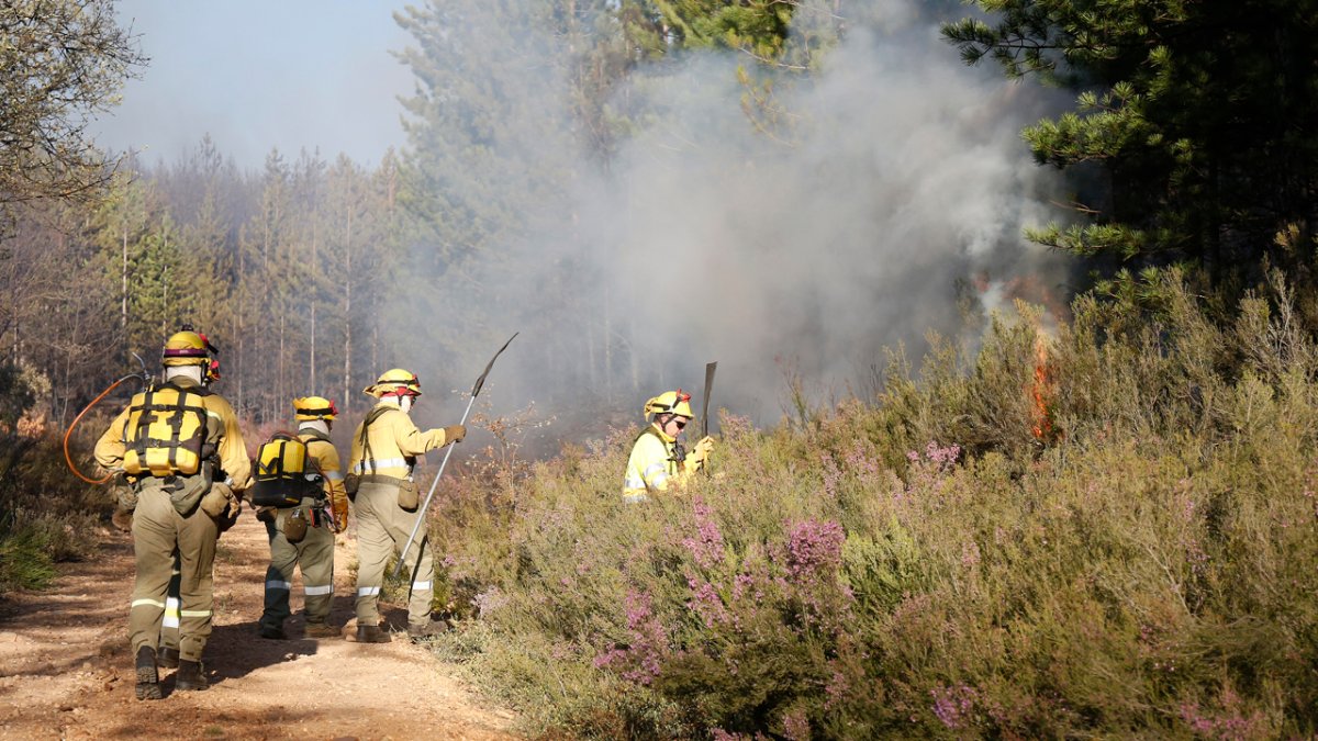 La provincia leonesa solo registra un incendio forestal controlado desde hace días en el municipio de Santa Colomba de Curueño. MARCIANO PÉREZ.