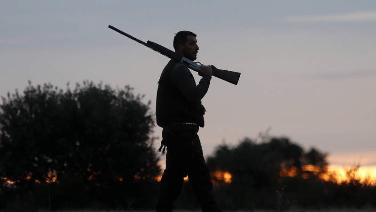 Un cazador en una de las jornadas de actividad de la temporada de caza menor. JESÚS F. SALVADORES