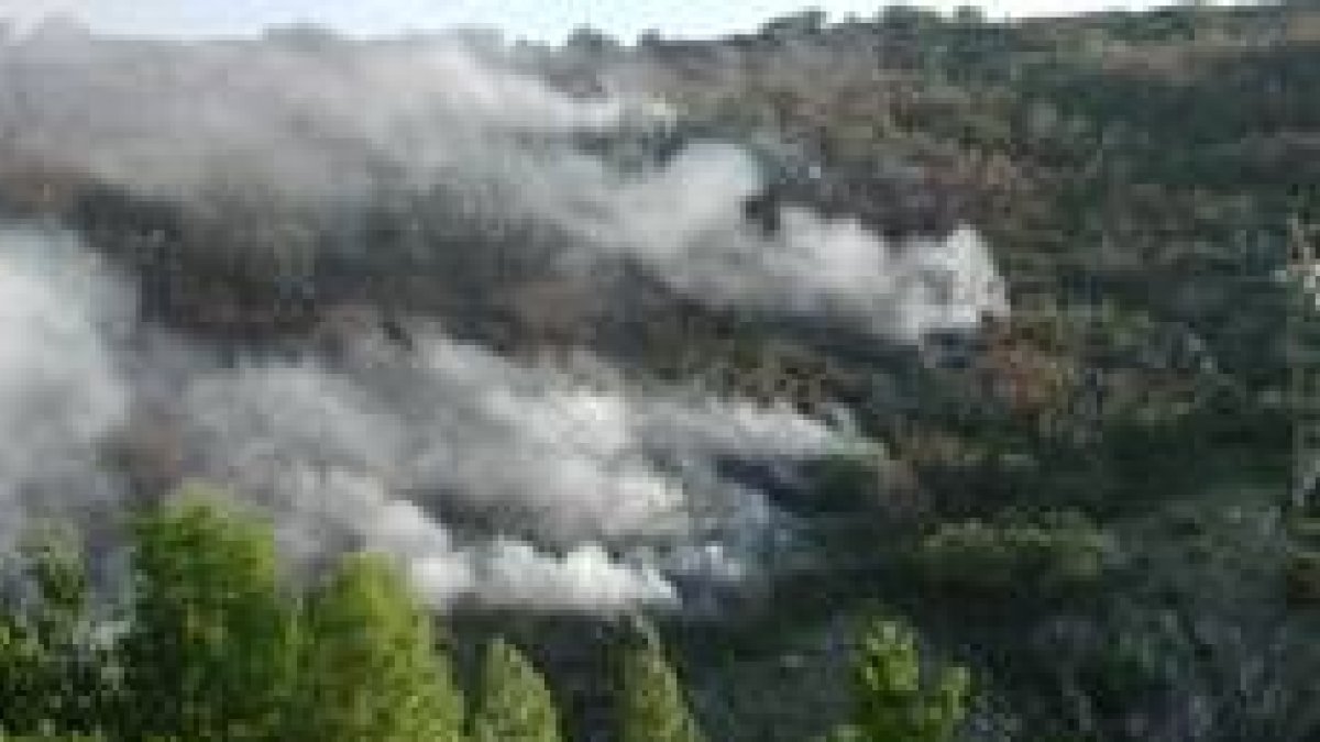 Las llamas afectaron a varias zonas del lugar, pero finalmente resultaron sofocadas por los bomberos
