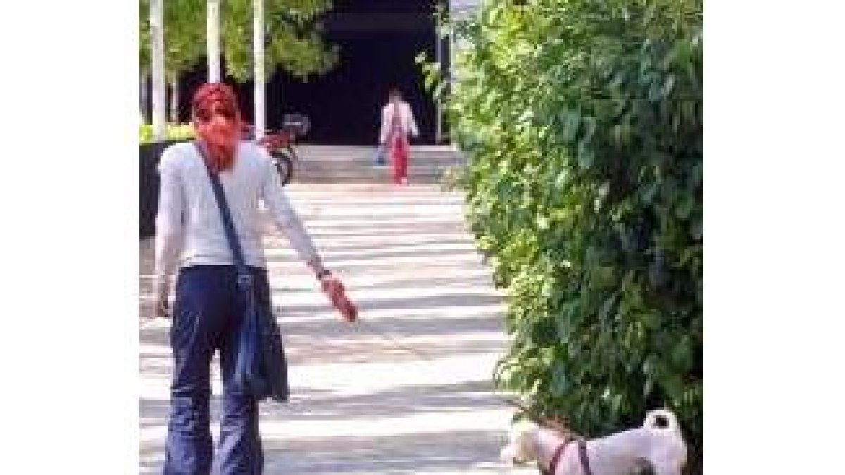 Imagen de archivo de una joven de paseo con su perro
