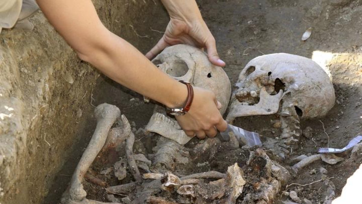 En la imagen de archivo, exhumaciones en el parque de La Carcavilla, situado en pleno casco urbano de Palencia